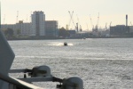IMG_3184.JPG