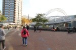 IMG_3155.JPG