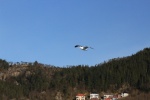 IMG_3403.JPG