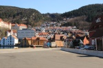 IMG_3383.JPG