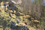IMG_3335.JPG