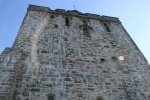 IMG_3302.JPG