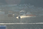 IMG_3287.JPG