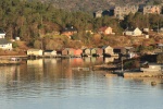IMG_3271.JPG
